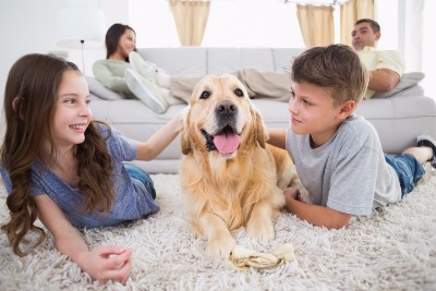 bigstock-Cute-siblings-stroking-dog-on–84986207 Garner can teach you how to get rid of pet dander with the right tools and cleaning.